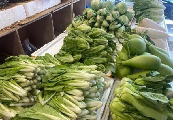 沒學歷沒人脈，想賺高工資？這些方法值得一試