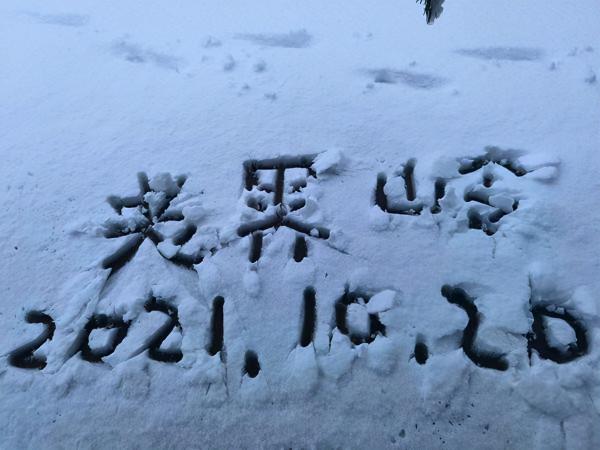 河南一地迎來連續降雪，厚度達25釐米