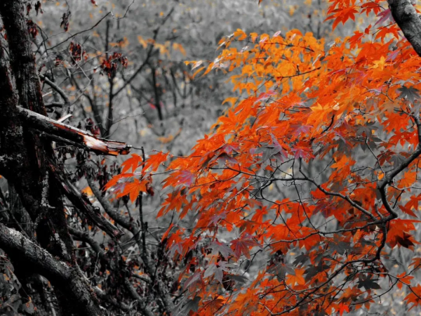太美了!10個愈秋愈美的小眾旅行地,錯過只能再等一年 太美了!10個愈秋愈美的小眾旅行地,錯過只能再等一年