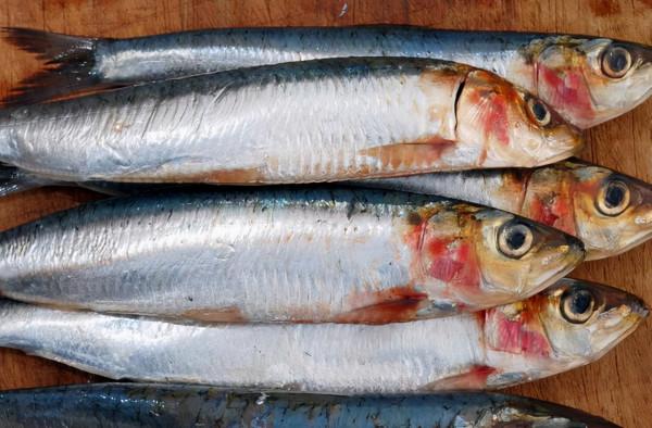 含“寄生蟲”最多的3種魚，沒營養還貴，老闆自己從不吃