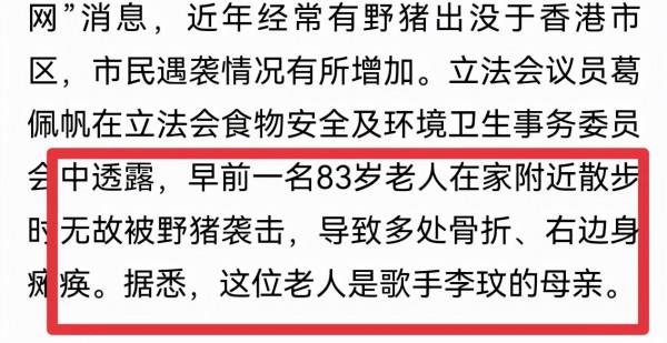 李玟83歲母親遭野豬襲擊,胳膊盆骨被撞碎,已躺病床一週未康復 李玟83歲母親遭野豬襲擊,胳膊盆骨被撞碎,已躺病床一週未康復