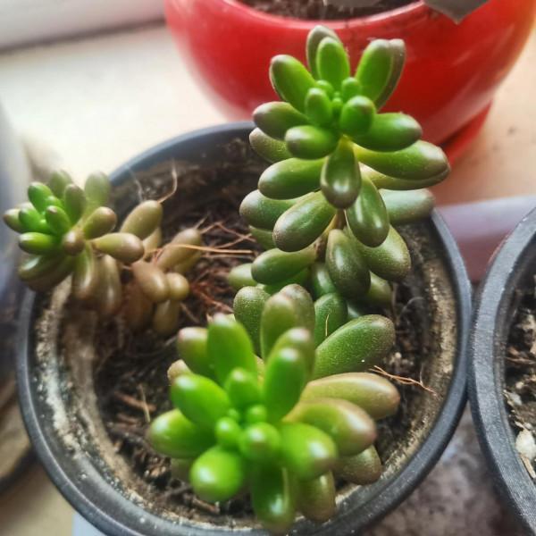 生活就是自己找樂趣