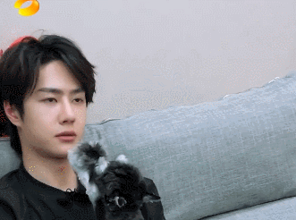 男明星的溫柔與寵溺都給了萌寵,好羨慕 男明星的溫柔與寵溺都給了萌寵,好羨慕