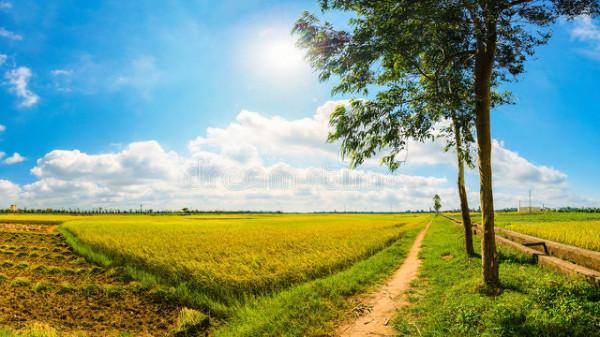 文化常識：都是指道路，路，道，途，徑，阡，陌有什麼不同