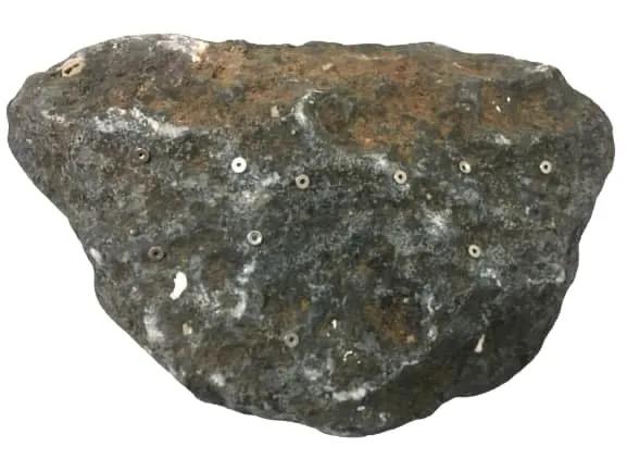 隕石是來自太空的“客人