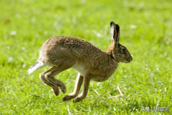 民間故事:大善人馮四海 民間故事:大善人馮四海