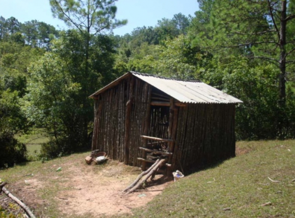 逆襲為百億富豪的秦榮華，從日本買10000根木頭：這本就是中國的