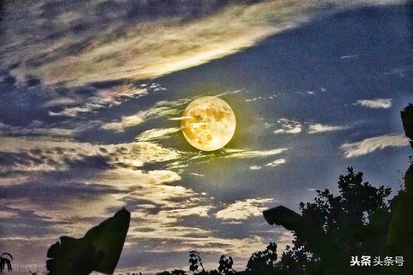 中秋何不結伴同遊 中秋何不結伴同遊