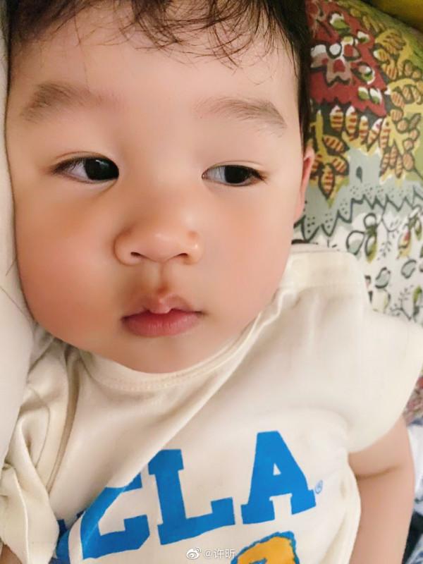 國乒考古（3），一圖一故事之里約三劍客