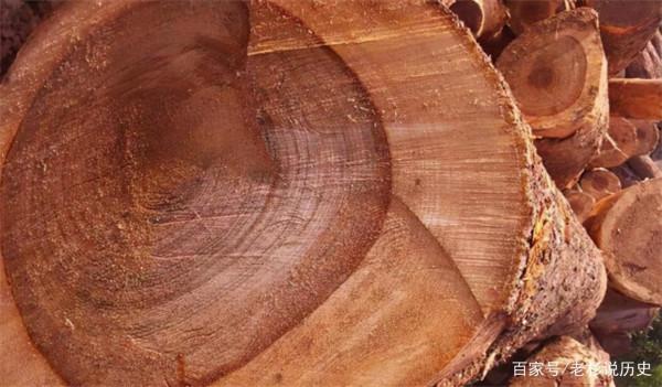 人民大會堂首場國宴,天花板上卻躲著50個“黑衣人”,他們是誰? 人民大會堂首場國宴,天花板上卻躲著50個“黑衣人”,他們是誰?