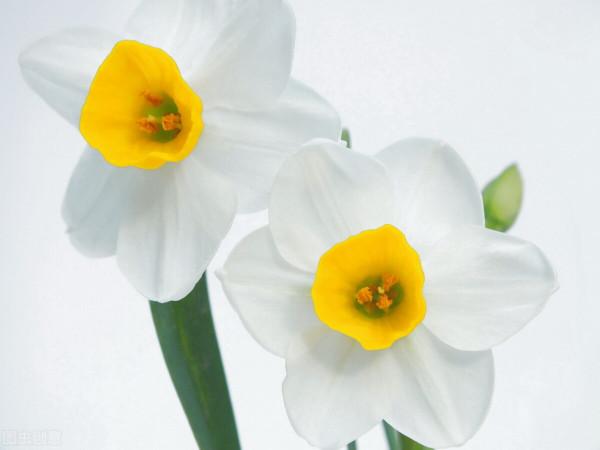 雅稱、代稱、它稱、別稱彙總(二) 雅稱、代稱、它稱、別稱彙總(二)