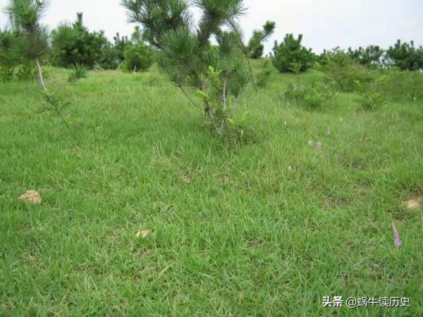 秦王逼魏文侯嫁妹，女子性格剛烈誓死不從，百姓紀念建&OpenCurlyDoubleQuote;皇姑墳&rdquo;