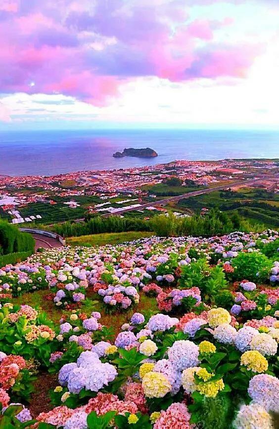 《天道》覺醒篇 《天道》覺醒篇