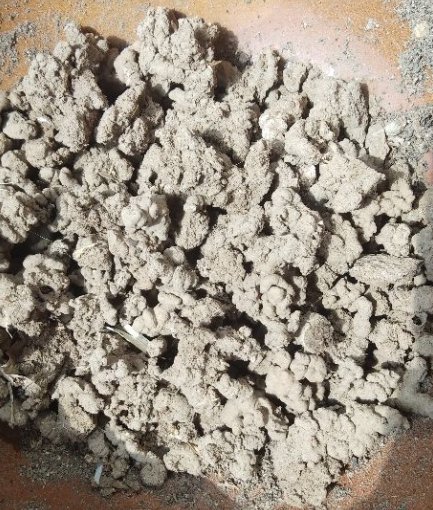 4種“垃圾”別丟掉,用來養花效果太好,還能省下一大筆錢 4種“垃圾”別丟掉,用來養花效果太好,還能省下一大筆錢