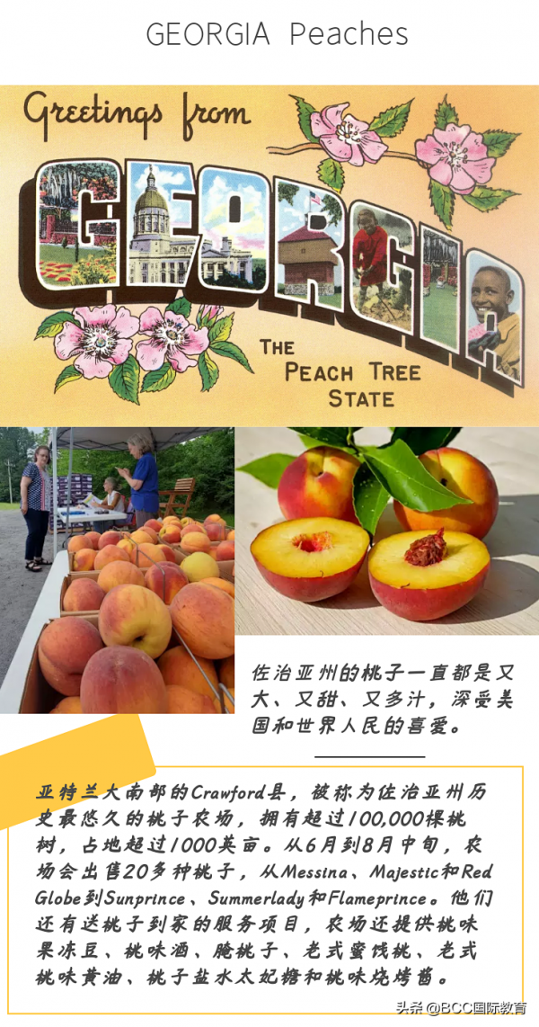 美國50個州的吃喝玩樂攻略請收好！留學生、遊客自駕遊跟團遊必看