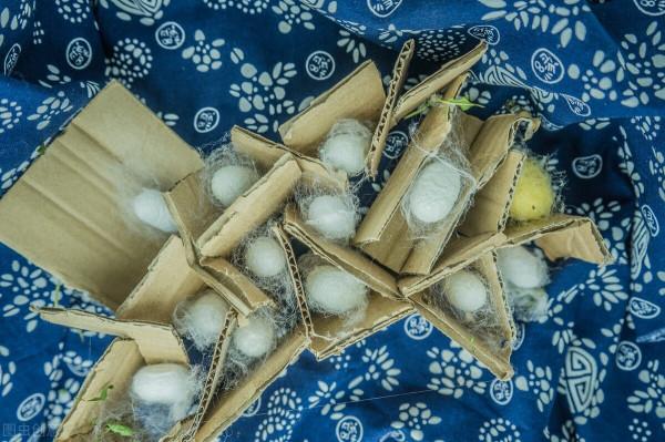 棉花被battle蠶絲被，你猜誰贏？