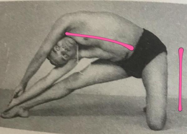 推薦1個基礎瑜伽動作，經常練習側腰線條會變得緊緻又漂亮