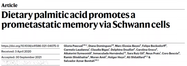 新研究:長期食用棕櫚油或促進癌症轉移,哪些食物中含量高? 新研究:長期食用棕櫚油或促進癌症轉移,哪些食物中含量高?