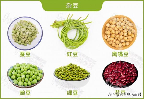 幾種很棒的食物