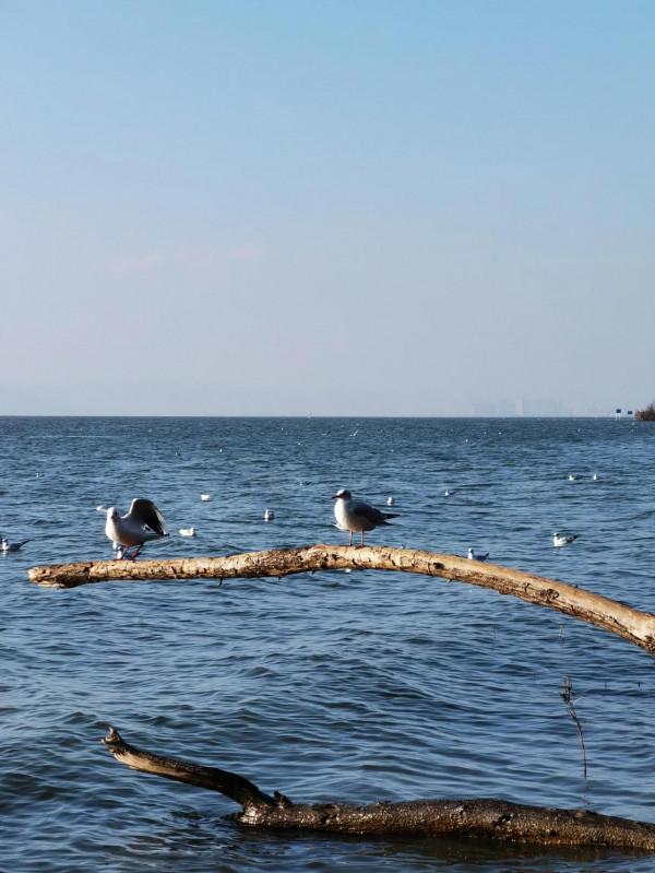 滇池觀落日 滇池觀落日