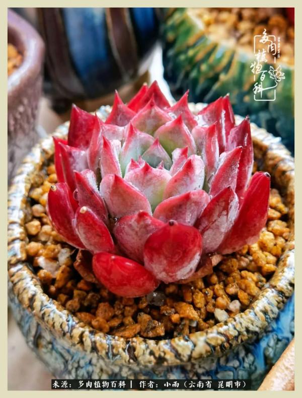 用一份熱愛，溫暖一段時光