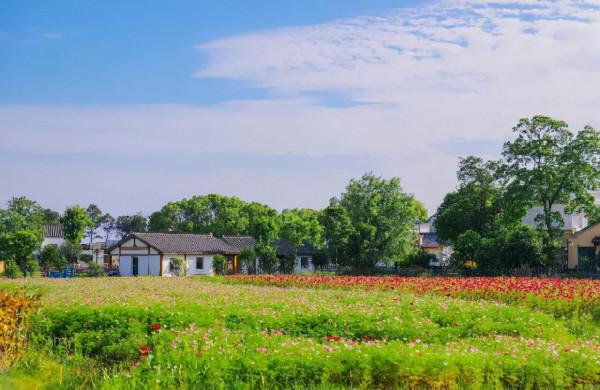 菜吧:從無人問津的村,到年接待遊客800萬的網紅村,它做對什麼 菜吧:從無人問津的村,到年接待遊客800萬的網紅村,它做對什麼