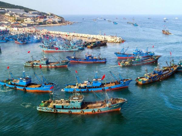 越南在我國南海非法填海造島，看看他們把我國島礁弄成什麼樣？