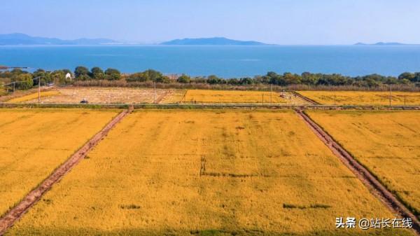 霸屏預警！美！滴！很