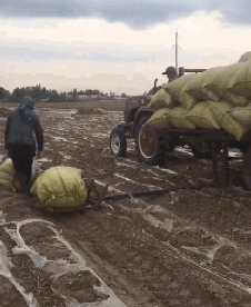 眼力測試！如果你從圖中看到的是一群人，那趕緊去看醫生吧