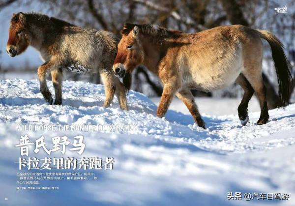 這8處金秋自駕遊線路,總有一款適合你(附線路地圖) 這8處金秋自駕遊線路,總有一款適合你(附線路地圖)