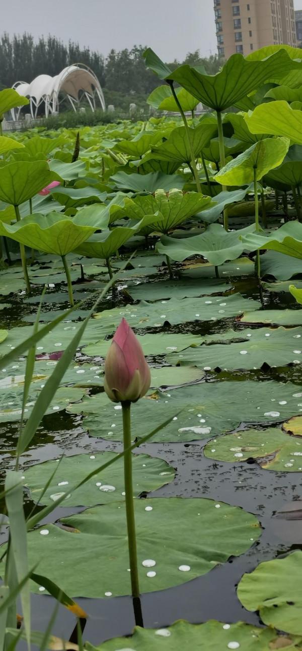 本來生活很沉悶，但是跑起來有風，我在風裡尋到了最真實的我