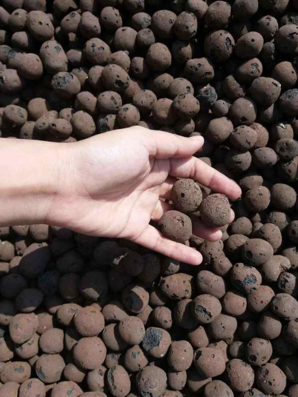 陶粒墊盆太奢侈，用這三種效果更好，關鍵很省錢