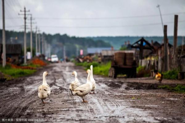 原來你是這樣的黑龍江