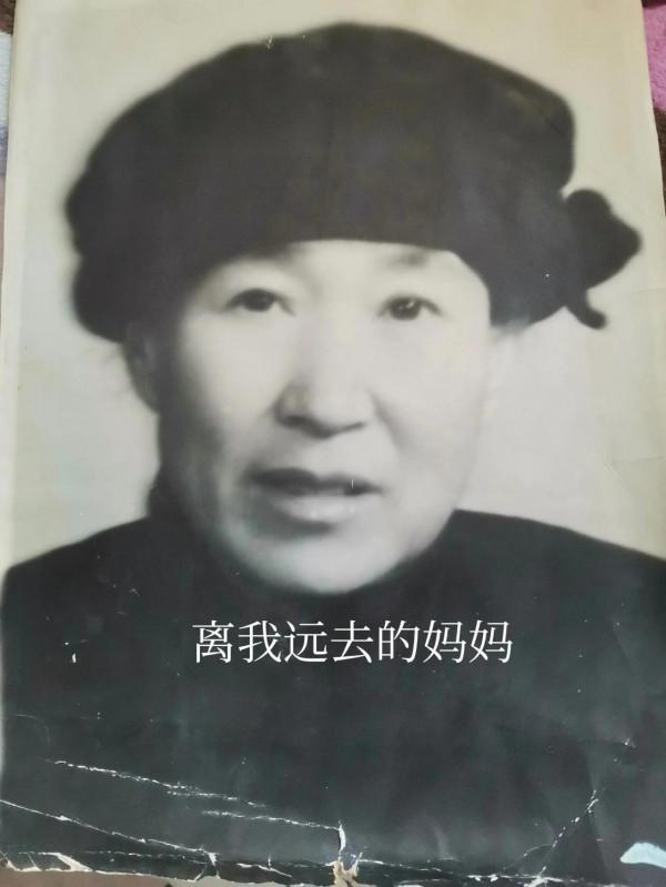 老年的母親生下一個機敏的女兒 老年的母親生下一個機敏的女兒