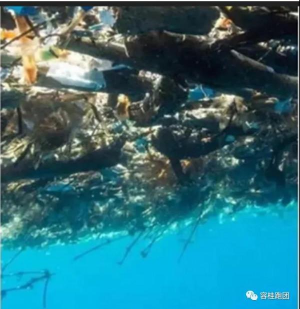 為了一個潔淨的星球 為了一個潔淨的星球