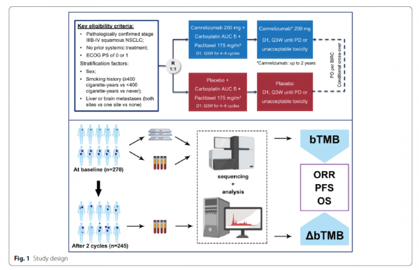 Molecular Cancer | 治療期bTMB可作為晚期肺鱗癌患者卡瑞利珠單抗聯合化療的預測性生物標誌物 Molecular Cancer | 治療期bTMB可作為晚期肺鱗癌患者卡瑞利珠單抗聯合化療的預測性生物標誌物