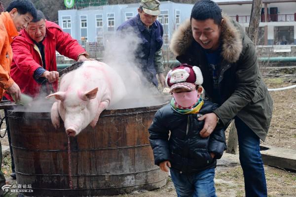 （懷舊）臘八印象