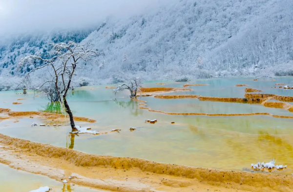 太美了!中國10大冬景旅行地,每個都各有特色,你去過幾個? 太美了!中國10大冬景旅行地,每個都各有特色,你去過幾個?