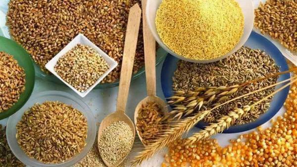 為什麼說五穀最養人？吃對穀物，心、肝、脾、肺、腎一把罩