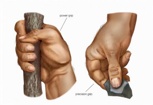 手勁腳勁與健康 手勁腳勁與健康