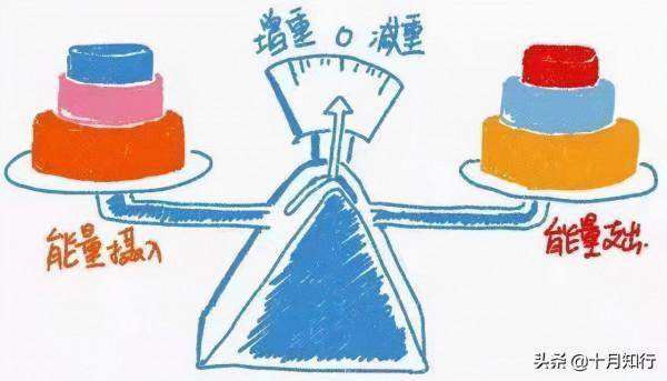 減肥，什麼樣的減重速度是安全的？要怎麼做才能健康地瘦下來？