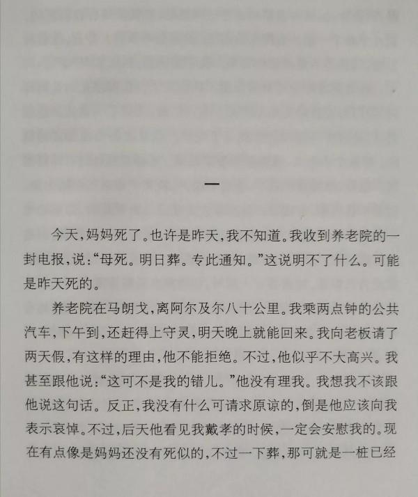 淺談《局外人》 淺談《局外人》