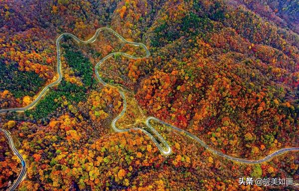 安徽秋遊,五個自駕推薦地|去趕赴秋天的盛會 安徽秋遊,五個自駕推薦地|去趕赴秋天的盛會