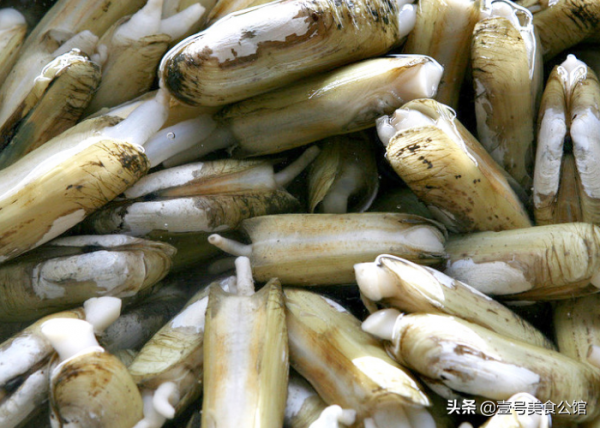 簡單好吃的蟶肉滑蛋,嫩滑入味,鮮香又營養,家人都愛吃的美食 簡單好吃的蟶肉滑蛋,嫩滑入味,鮮香又營養,家人都愛吃的美食