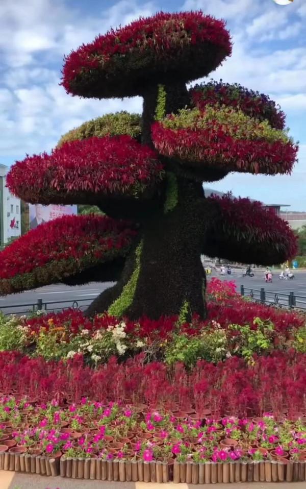 震撼世界的絕美自然風光（六十個圖片）