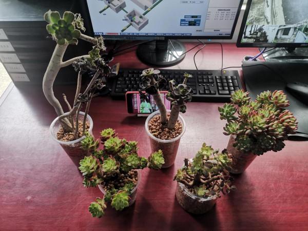 折騰的人生（一）