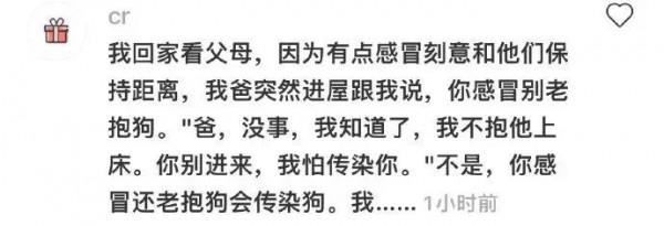 不養寵物你都不知道，它們來了後你的家庭地位能下降到什麼程度