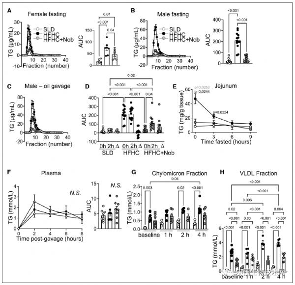 川陳皮素或能改善高脂飲食的危害，還具有預防餐後高脂血症的功效