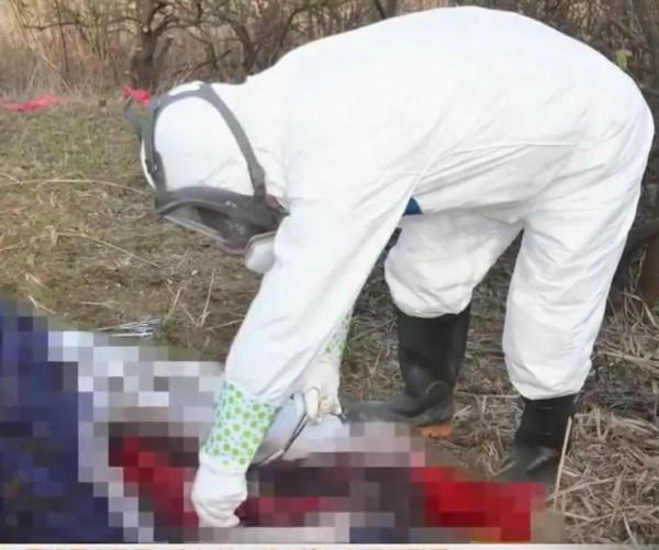 為尋找被拐賣27年的弟弟，她挖開了父母的墳墓，結局感人至深