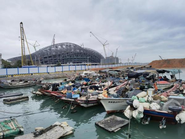 兩隻年輕白鷺互相追逐嘻鬧/避風塢裡瞬間捲起春潮